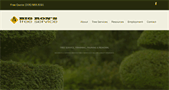 Desktop Screenshot of bigronstreeservice.com