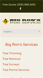 Mobile Screenshot of bigronstreeservice.com