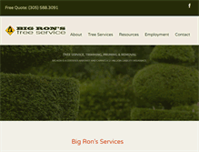 Tablet Screenshot of bigronstreeservice.com